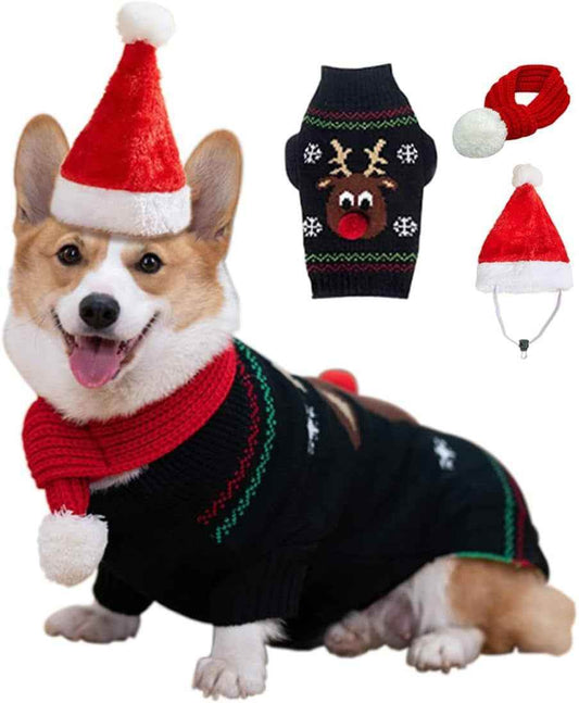 Festive Dog Christmas Set - BINZAAR