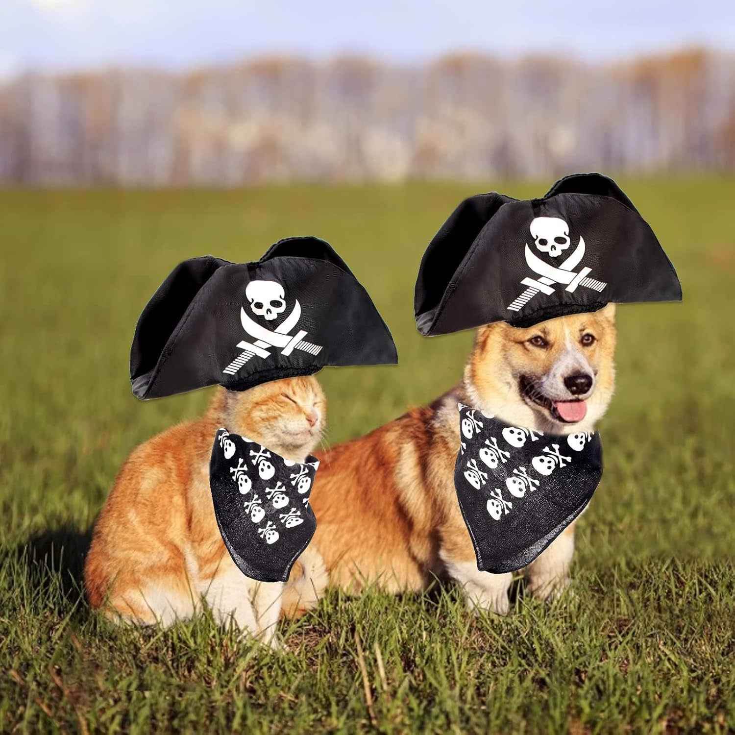Premium Pet Pirate Costume - BINZAAR