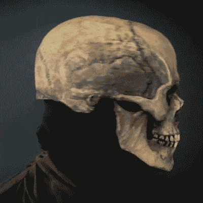 Halloween Skeleton Mask - BINZAAR