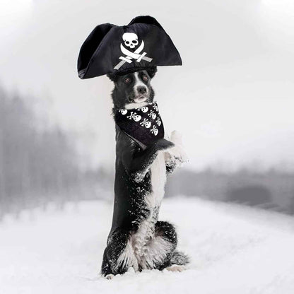 Premium Pet Pirate Costume - BINZAAR