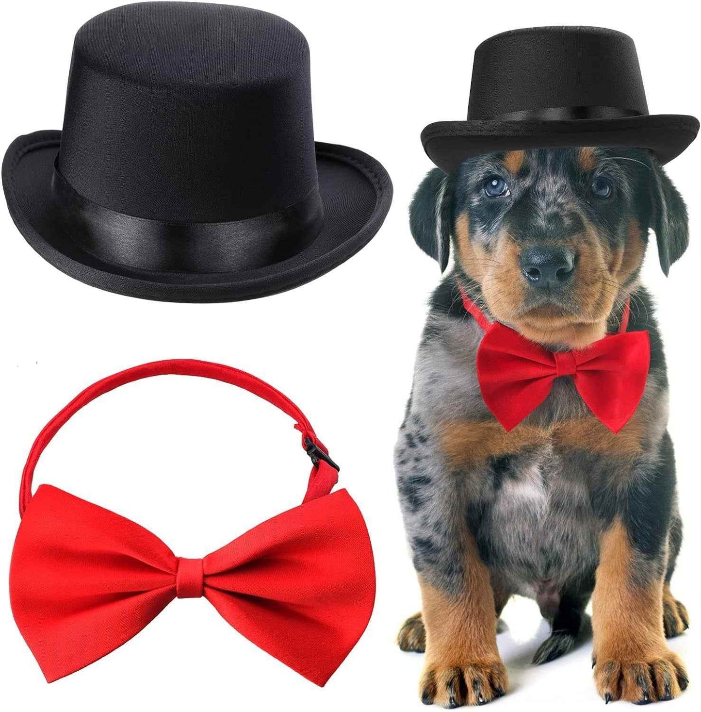 Pet Formal Accessories Set - BINZAAR