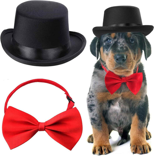 Pet Formal Accessories Set - BINZAAR