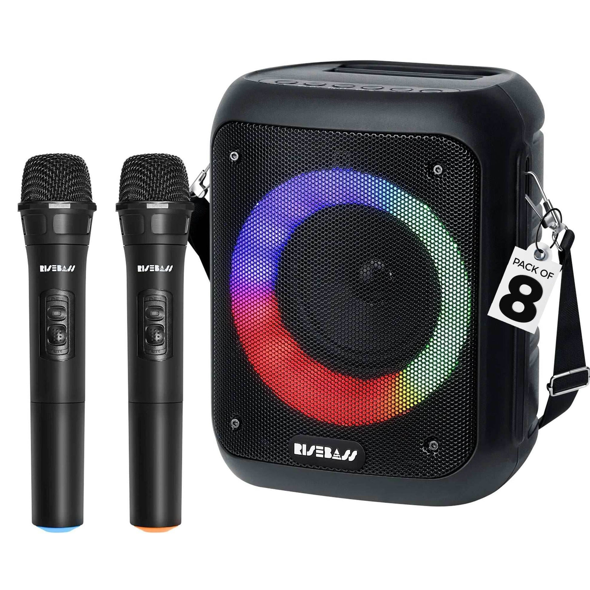 Portable Karaoke Machine w/ 2 Wireless Microphones - BINZAAR