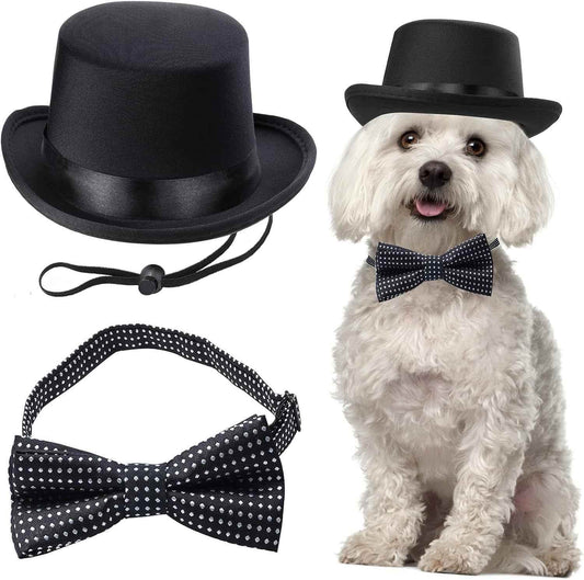 Pet Formal Accessories Set - BINZAAR