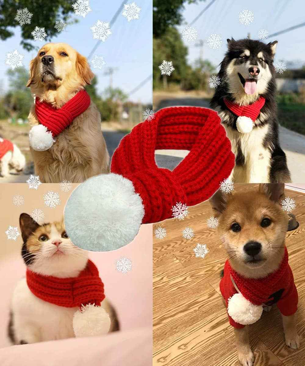 Festive Dog Christmas Set - BINZAAR