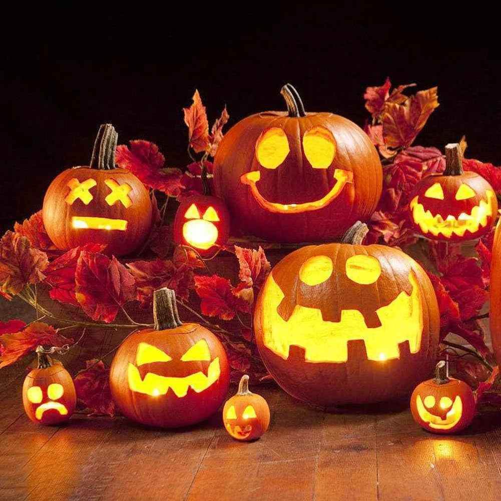 Professional Pumpkin Carving Kit - BINZAAR