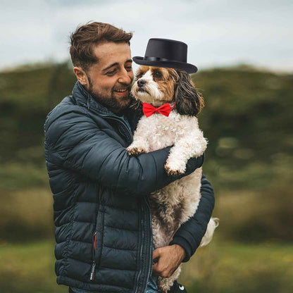 Pet Formal Accessories Set - BINZAAR
