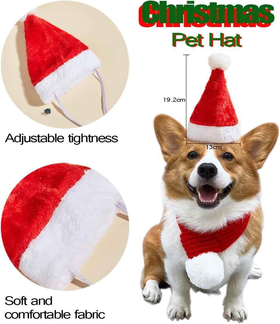 Festive Dog Christmas Set - BINZAAR