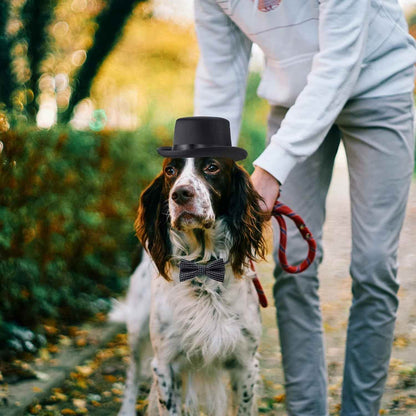 Pet Formal Accessories Set - BINZAAR